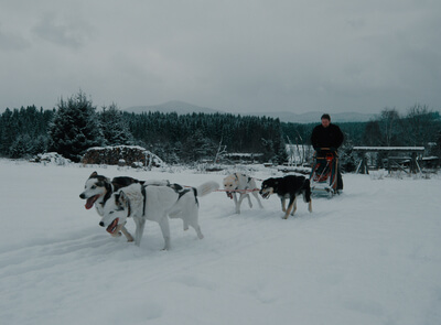 Mushing - jízda se psím spřežením