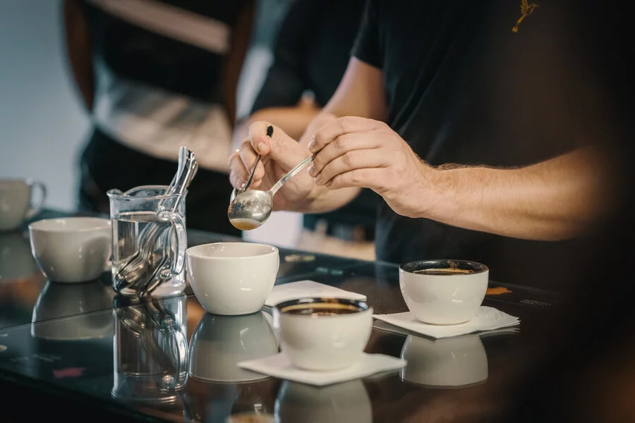 Cupping: degustace výběrové kávy